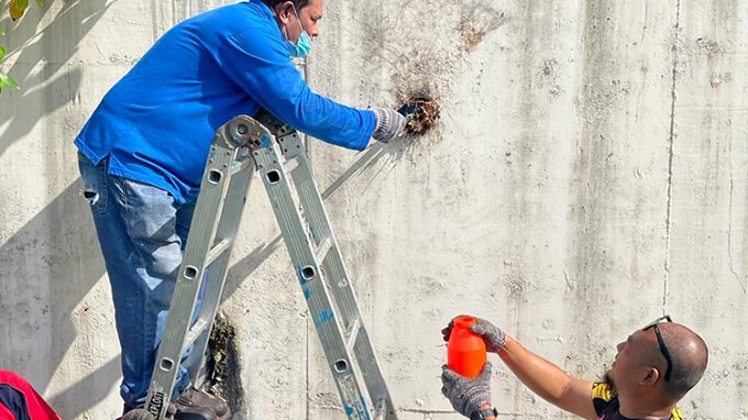 Cleaning And Maintenance